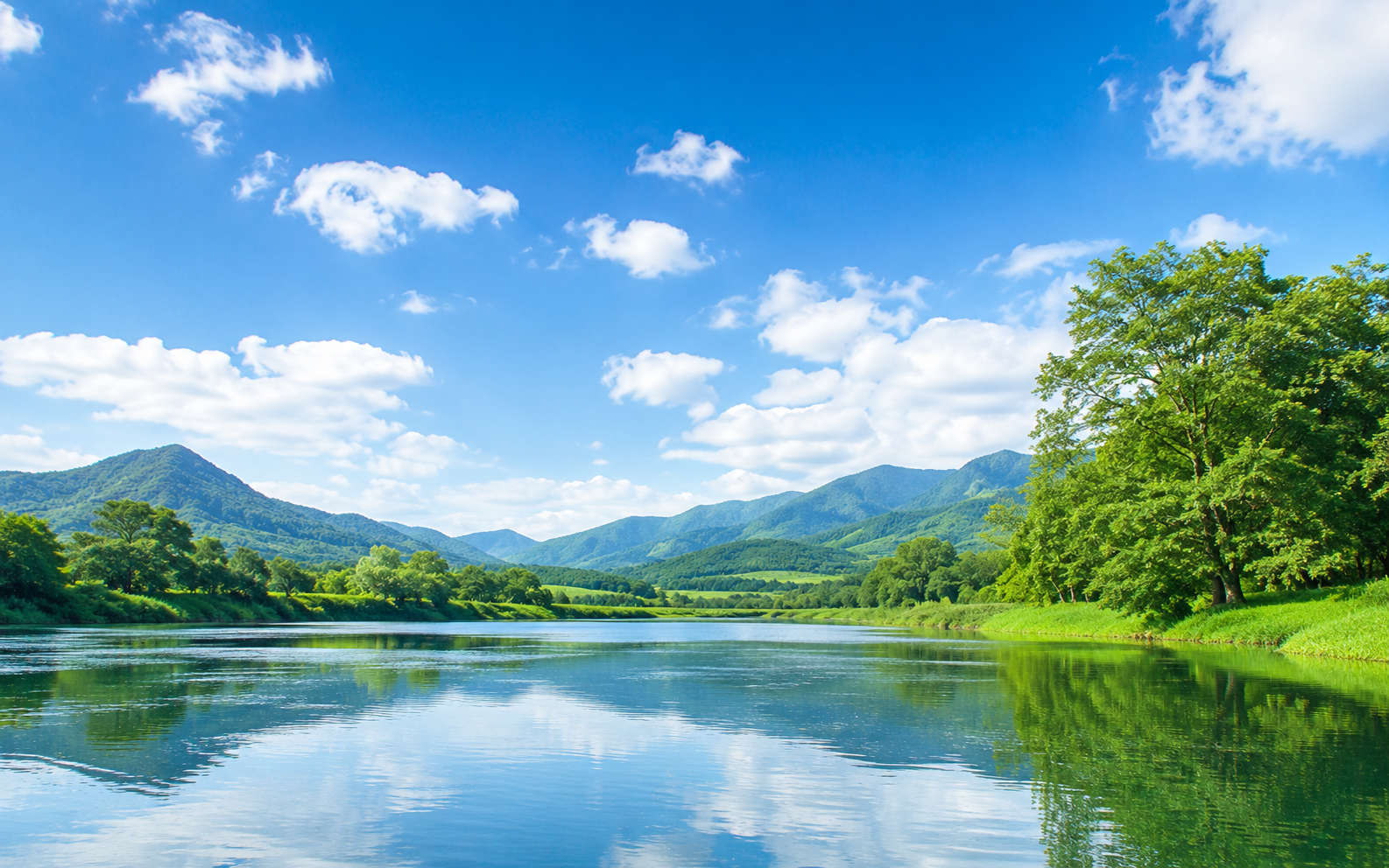 HDU PLUS 산업환경 솔루션